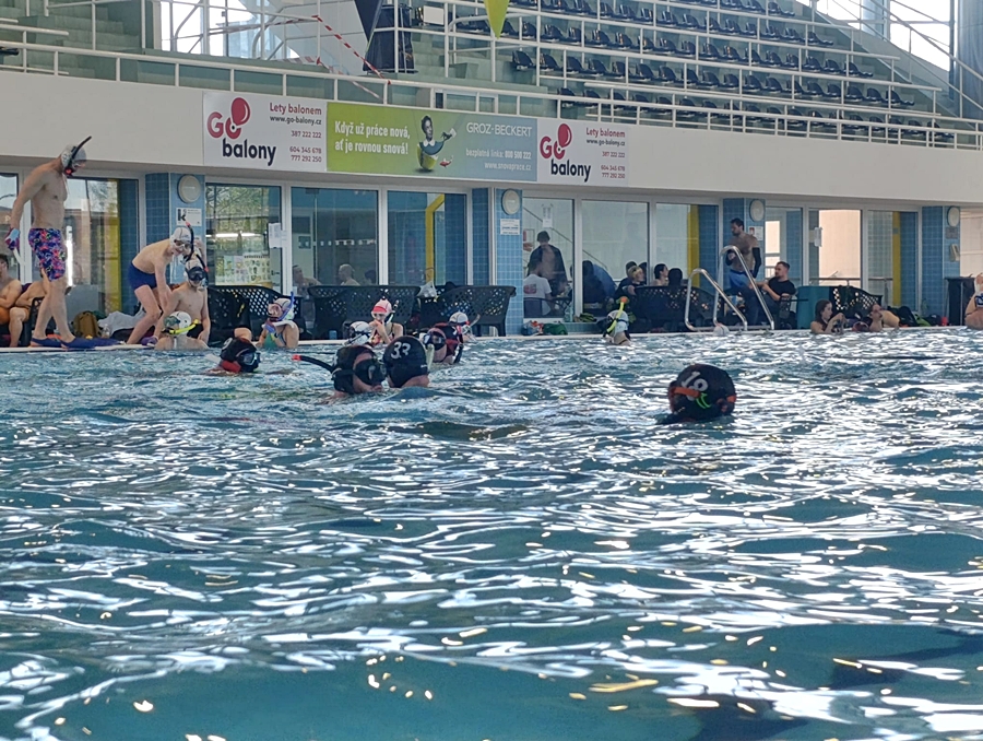 Hokej pod wodą Walenie Czeskie Budziejowice Bud Pig Cup 2026